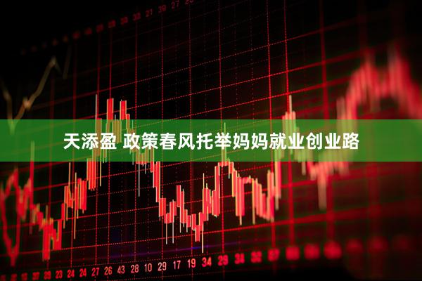 天添盈 政策春风托举妈妈就业创业路